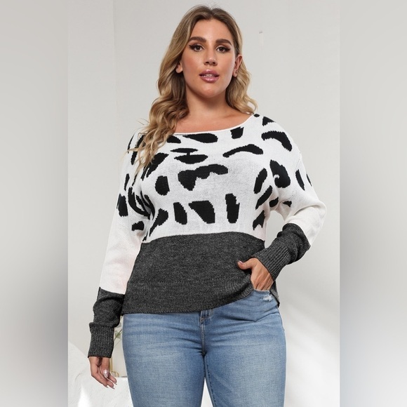 Roaring Fashion Color Block Leopard Sweater - Picture 3 of 4